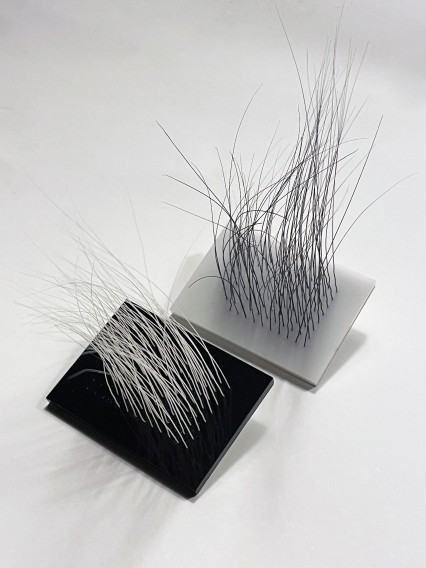 Agata Danielak-Kujda