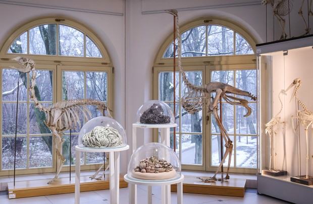 Niepokorna ziemia / Papier lakmusowy.