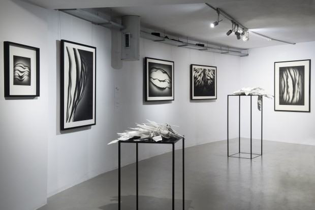 Jarosław Grulkowski, Kości, chmury, molekuły. Rysunki Jarosława Grulkowskiego, MWW, 2017-2018, zdj. autor