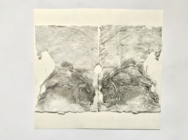 Michalina Kraucewicz