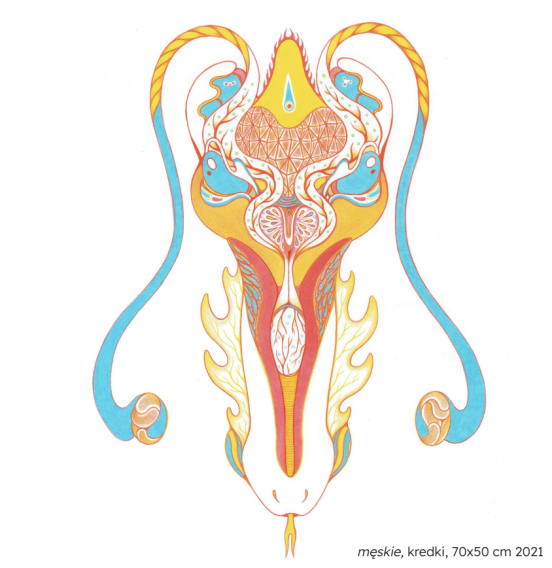 Laura Gizicka, męskie, 2021, kredki, 70x50 cm