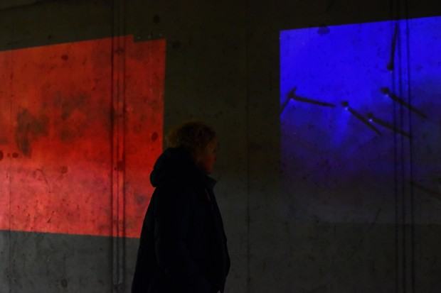 Lila Len, Tinnitus Auris, kadry prac wideo z wystawy, 2024