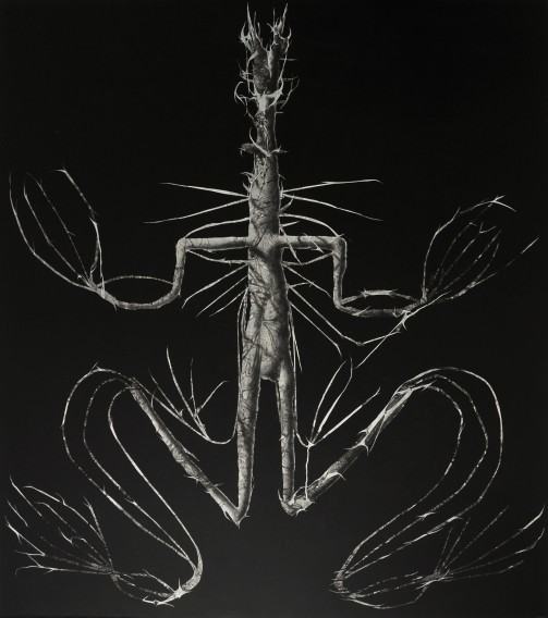 prof. Łukasz Huculak