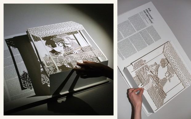 Martyna Rak, projekt dyplomowy “Wcielenia – książka pop-up”