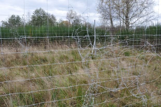 Maciej Tabor, Na styku, 2013