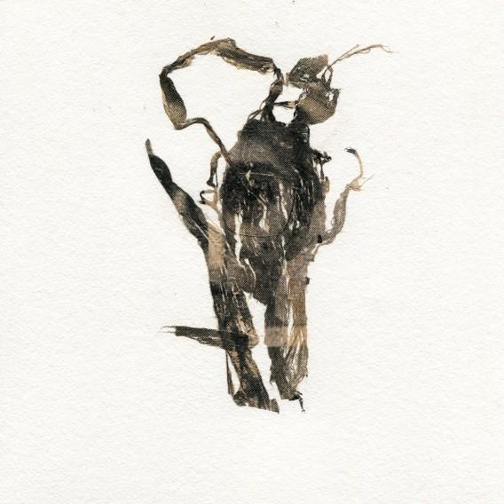 Maja Dokudowicz. Wszystko co stałe rozpływa się w powietrzu