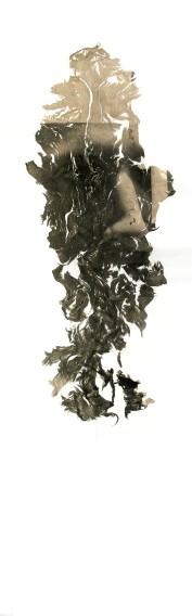 Maja Dokudowicz. Wszystko co stałe rozpływa się w powietrzu