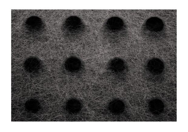 Marek Grzyb, Holes, 2024, druk cyfrowy CGD