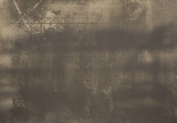 Maria Zwolinska, Disfiguration, 2024