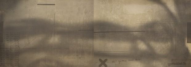 Maria Zwolinska, Defacement, 2024