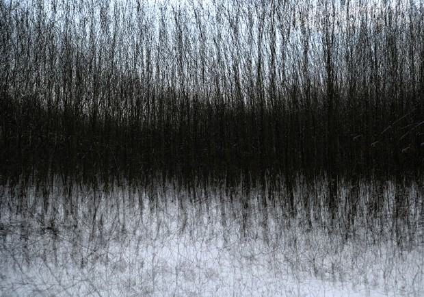 Ewa Martyniszyn, Rytm Lasu