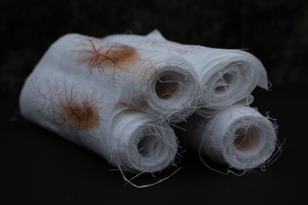 mira-boczniowicz-zwoje-i-calun.-istota-zycia-2025-instalacja-fragment-cyjanotypia-biomedia-dzieki-uprzejmosci-artystki