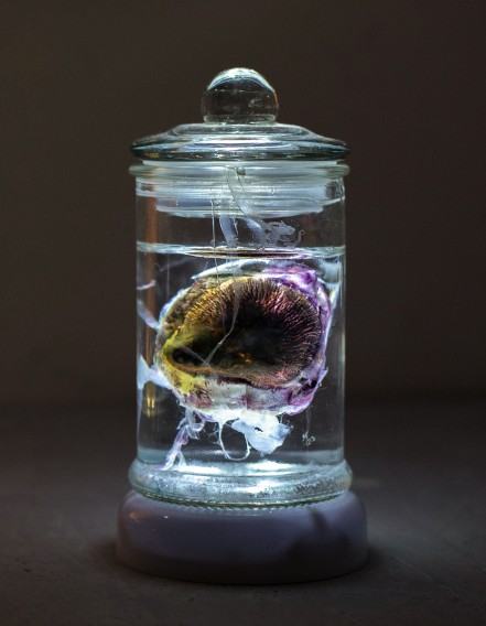 Monika Polak, AB#5, żywica syntetyczna, pigment, klej termotopliwy, woda, szkło, korek, wymiary zmienne, max rozm. naczynia 19 cm x 6 cm, 2023, DETAL 1