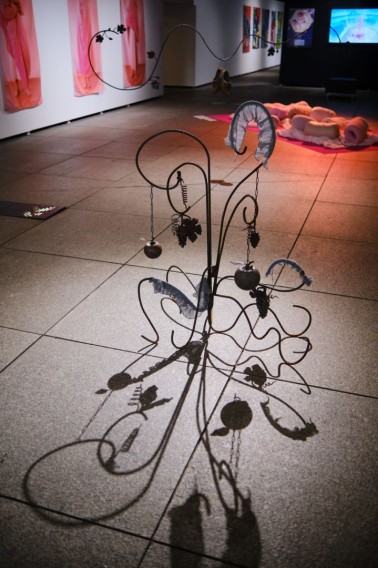 nagroda-krytykow-klaudia-figura