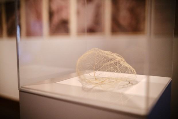 nagroda-prezydent-miasta-gdanska-nina-zabierek