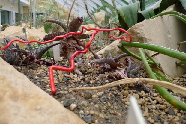Stadium. Wystawa rzeźby w Ogrodzie Botanicznym, zdj. Zofia Grzybowska