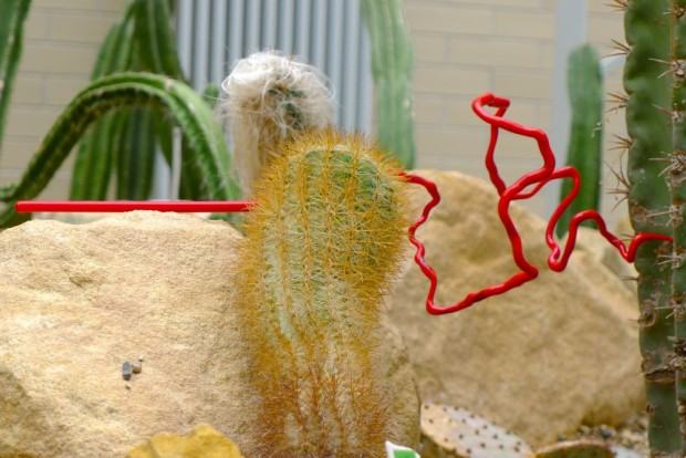 Stadium. Wystawa rzeźby w Ogrodzie Botanicznym, zdj. Zofia Grzybowska