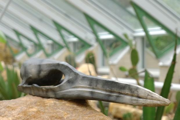 Stadium. Wystawa rzeźby w Ogrodzie Botanicznym, zdj. Zofia Grzybowska