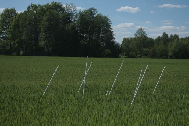 Studium Relacji Przestrzennych