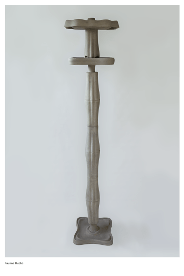 Dyplom projektowy Pauliny Muchy