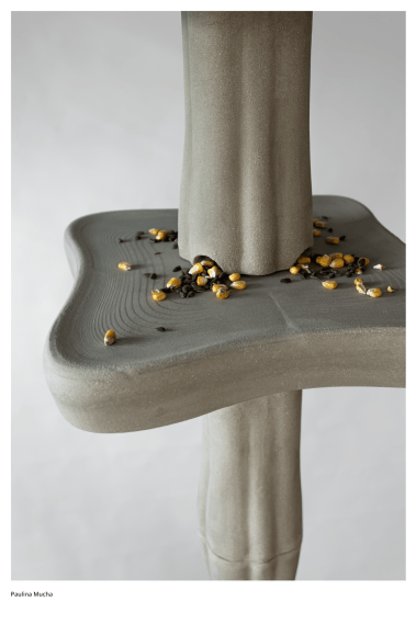 Dyplom projektowy Pauliny Muchy