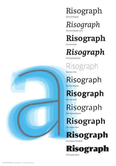 Fragment pracy doktorskiej Macieja Majchrzaka