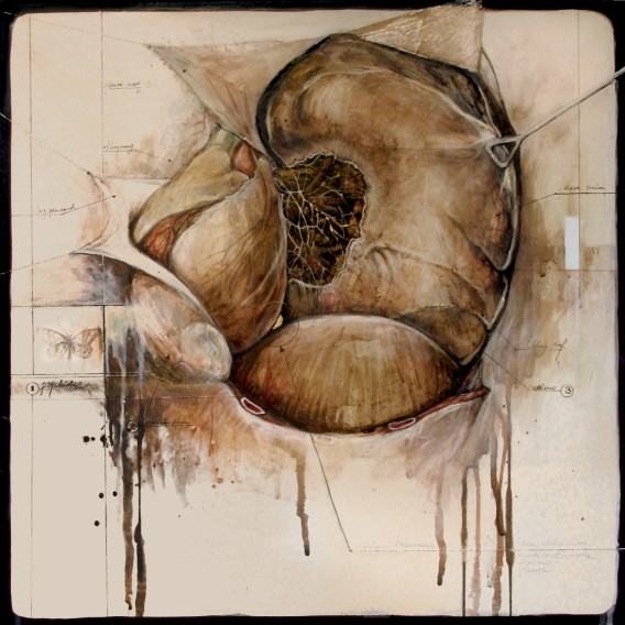 Dorota Pietrzyk, Poszukiwanie duszy