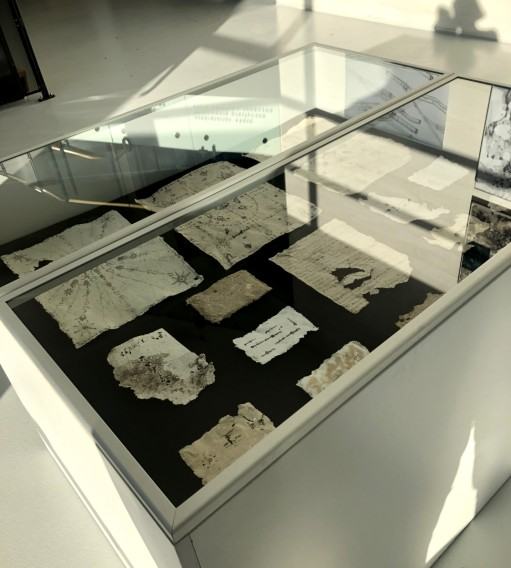 Wystawa - Poza linią