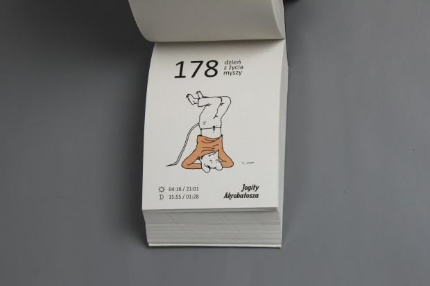 Pracownia Ilustracji-realizacje