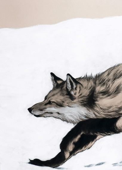 Pracownia Ilustracji-realizacje