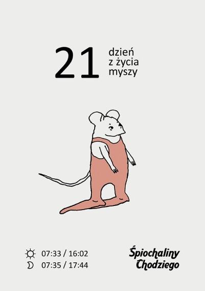 Pracownia Ilustracji-realizacje