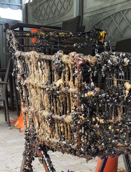 cicha_jadwiga_mowa-rzeki-2025