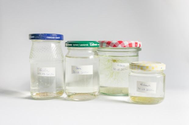 goslawska_arleta_rzeka_2025