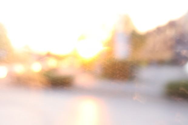 wilman_maja_w-pocalunkach-2024-2025