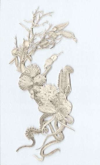 Wojciech Ireneusz Sobczyk