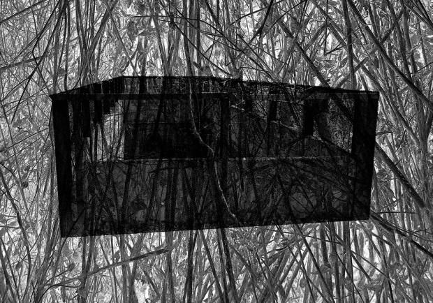 Wochnik, Apoptoza II, serigrafia, 2023