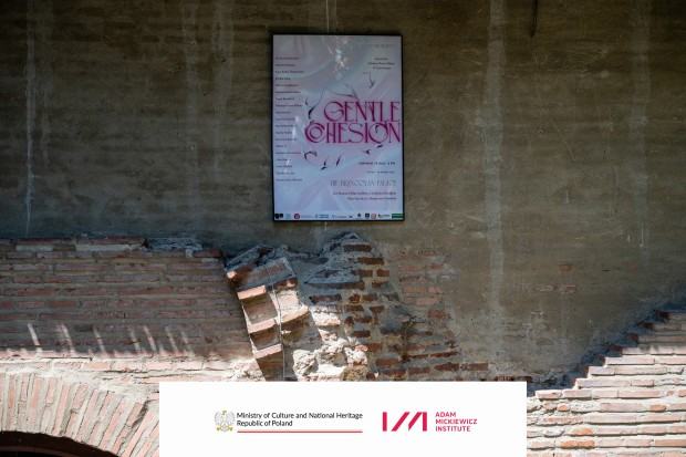 Gentle Cohesion w Rumunii - wystawa