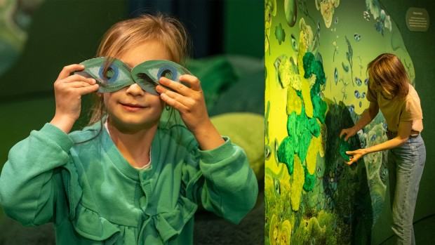 Spektrum Światła / Ekspozycja na kolor. Zielony