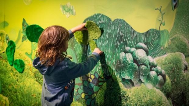 Spektrum Światła / Ekspozycja na kolor. Zielony