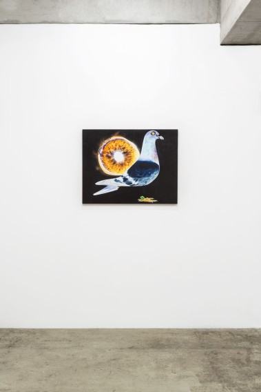 Zofia Pałucha, widok wystawy Effortlessness of Movement, zdj. Małgorzata Kujda