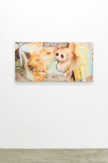 Zofia Pałucha, widok wystawy Effortlessness of Movement, zdj. Małgorzata Kujda