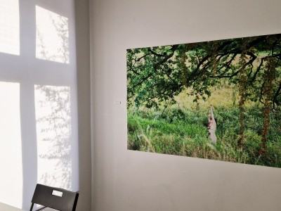 Oprowadzanie po wystawie: O doświadczeniu bezpośrednim i jego braku