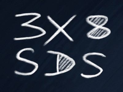 Warsztaty projektowe 3X8 – SDS