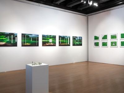 Michał Pietrzak Terytoria