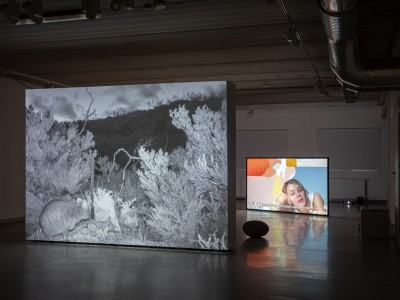 2025.06.04 DOK Geppart Biennale Wro