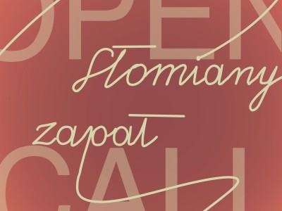 Słomiany zapał_open call