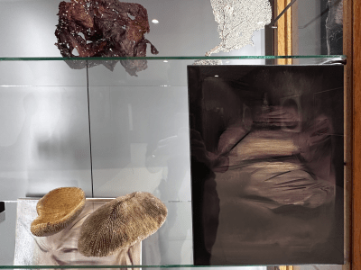 Na pograniczu światów V. Piękno anatomii