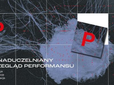 Ponaduczelniany Przegląd Performansu (PPP). Perforacje. Prowokacje. Proklamacje