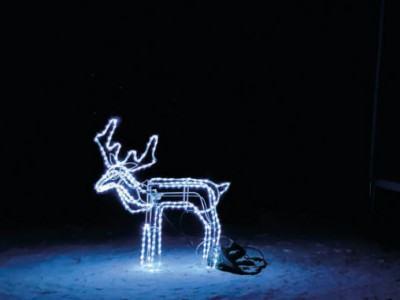 O doświadczeniu bezpośrednim i jego braku