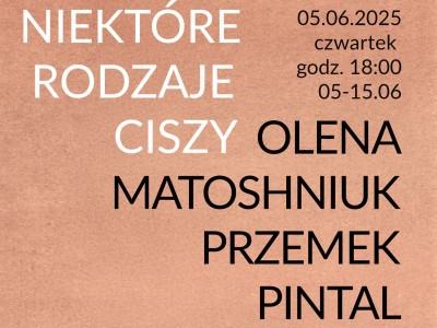 Olena Matoshniuk / Przemek Pintal | Niektóre rodzaje ciszy